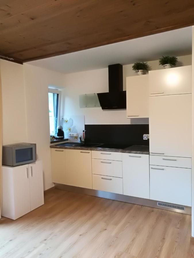 Gemuetliche Wohnung 10 Minuten Vom See Entfernt Zell am See Exteriér fotografie