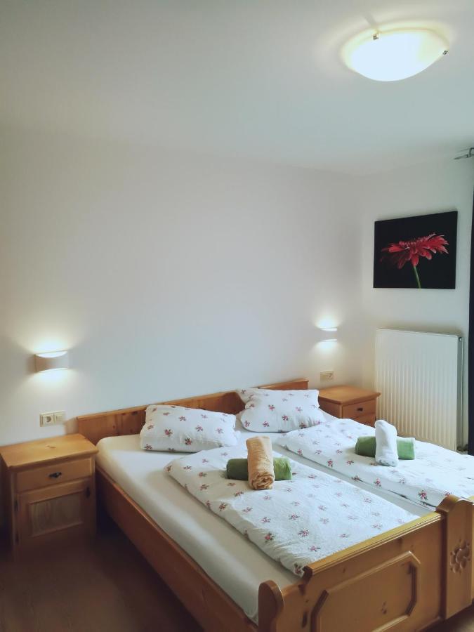 Gemuetliche Wohnung 10 Minuten Vom See Entfernt Zell am See Exteriér fotografie